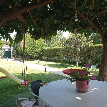 Galini Apartment Near Sea, Port And Airport Artemida (Attica) Exterior foto