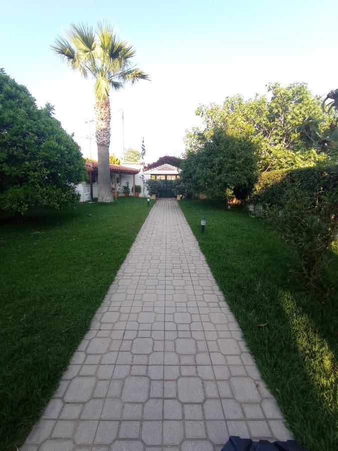 Galini Apartment Near Sea, Port And Airport Artemida (Attica) Exterior foto